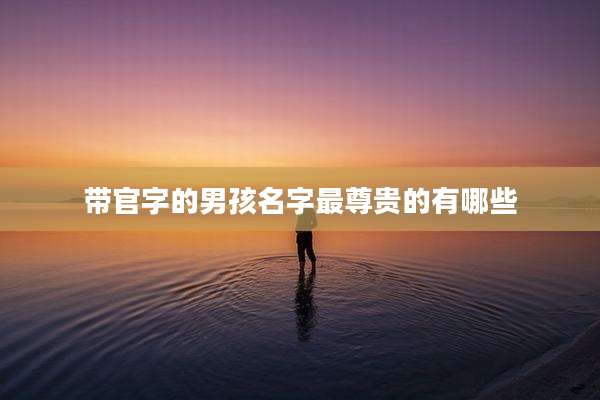 带官字的男孩名字最尊贵的有哪些