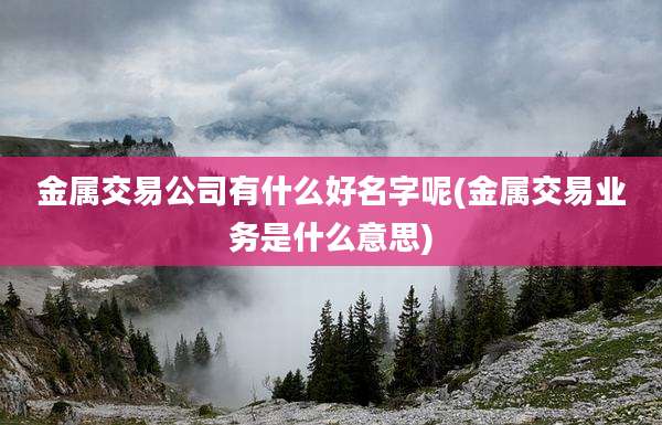 金属交易公司有什么好名字呢(金属交易业务是什么意思)