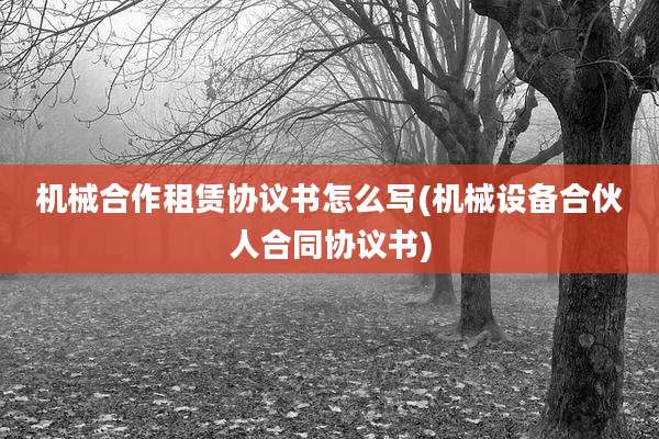 机械合作租赁协议书怎么写(机械设备合伙人合同协议书)