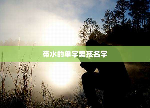 带水的单字男孩名字