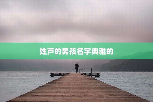 姓芦的男孩名字典雅的