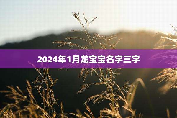 2024年1月龙宝宝名字三字