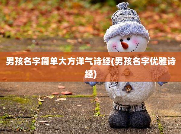 男孩名字简单大方洋气诗经(男孩名字优雅诗经)