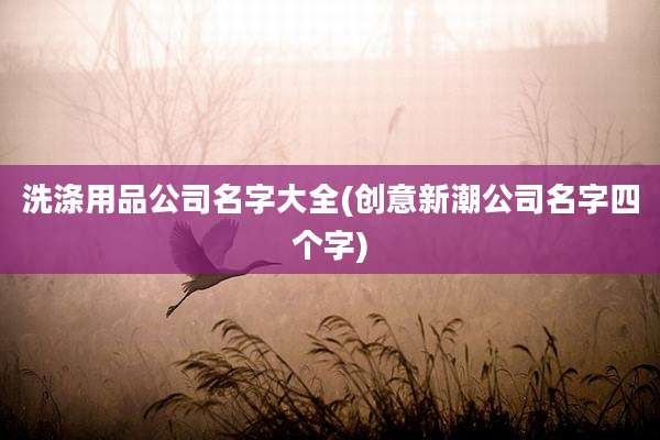 洗涤用品公司名字大全(创意新潮公司名字四个字)
