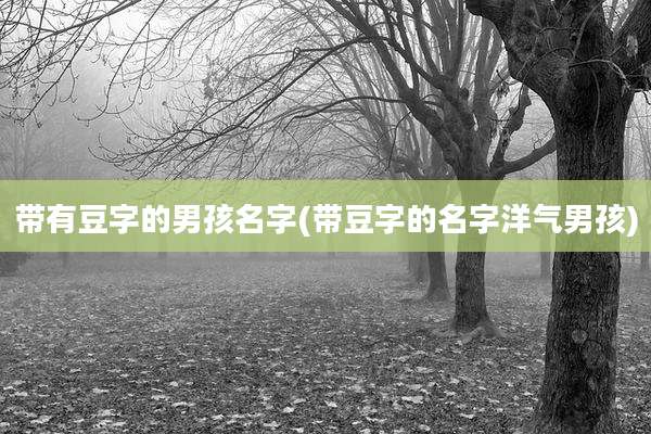 带有豆字的男孩名字(带豆字的名字洋气男孩)