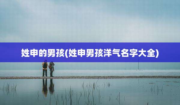 姓申的男孩(姓申男孩洋气名字大全)