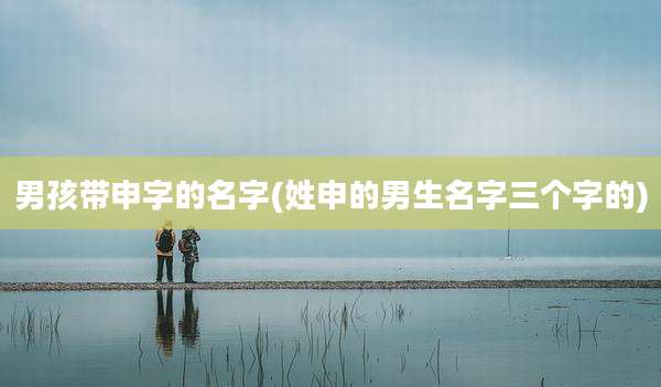 男孩带申字的名字(姓申的男生名字三个字的)