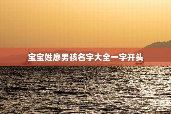 宝宝姓廖男孩名字大全一字开头