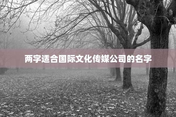 两字适合国际文化传媒公司的名字