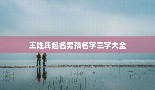 王姓氏起名男孩名字三字大全