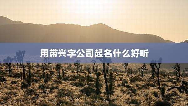 用带兴字公司起名什么好听