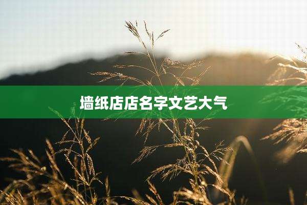 墙纸店店名字文艺大气