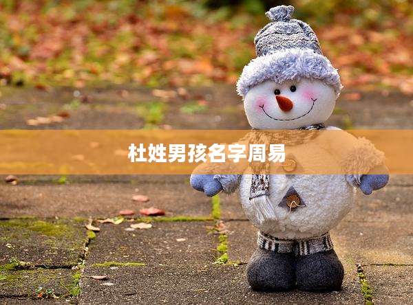 杜姓男孩名字周易