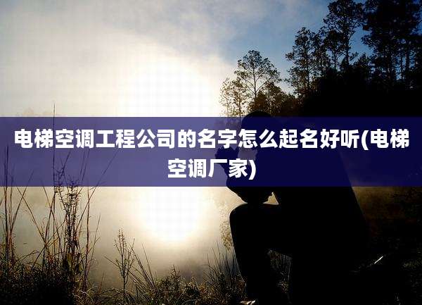 电梯空调工程公司的名字怎么起名好听(电梯空调厂家)
