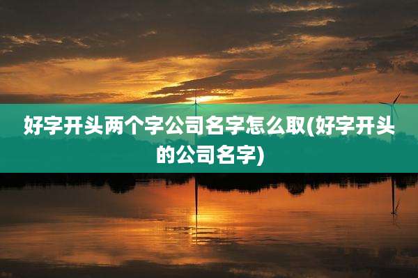 好字开头两个字公司名字怎么取(好字开头的公司名字)
