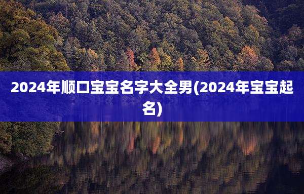 2024年顺口宝宝名字大全男(2024年宝宝起名)