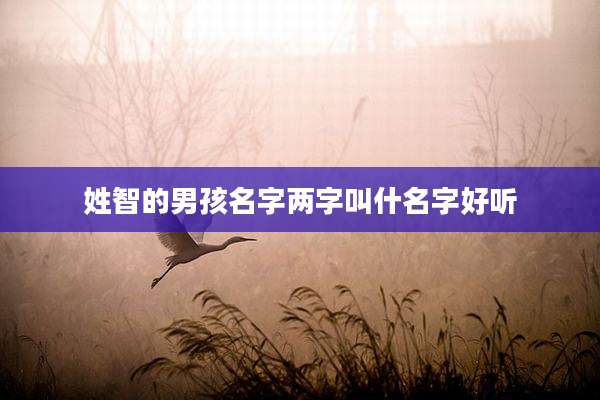 姓智的男孩名字两字叫什名字好听