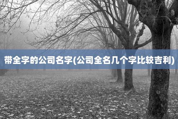 带全字的公司名字(公司全名几个字比较吉利)