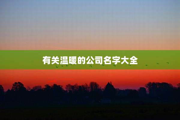 有关温暖的公司名字大全