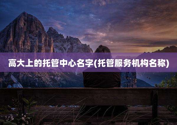 高大上的托管中心名字(托管服务机构名称)