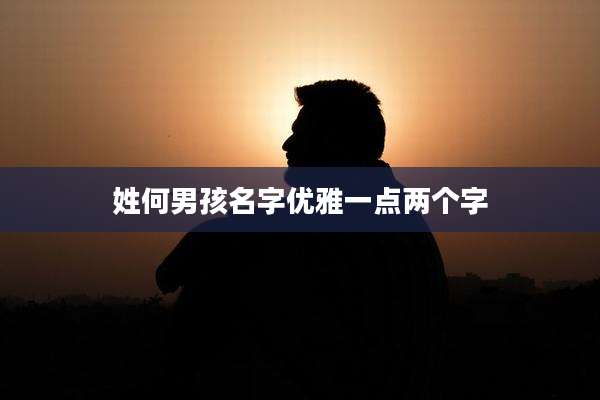 姓何男孩名字优雅一点两个字