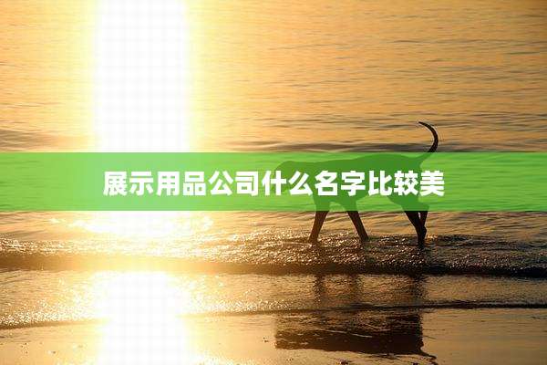 展示用品公司什么名字比较美