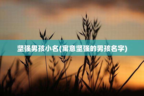 坚强男孩小名(寓意坚强的男孩名字)