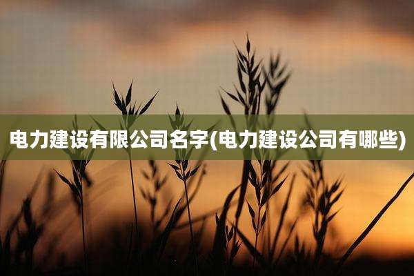 电力建设有限公司名字(电力建设公司有哪些)