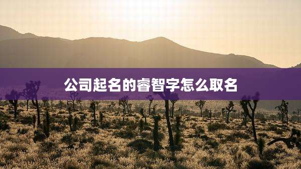 公司起名的睿智字怎么取名