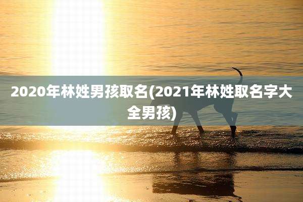 2020年林姓男孩取名(2021年林姓取名字大全男孩)
