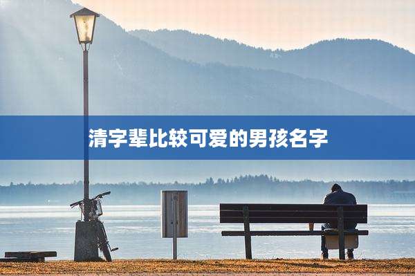 清字辈比较可爱的男孩名字