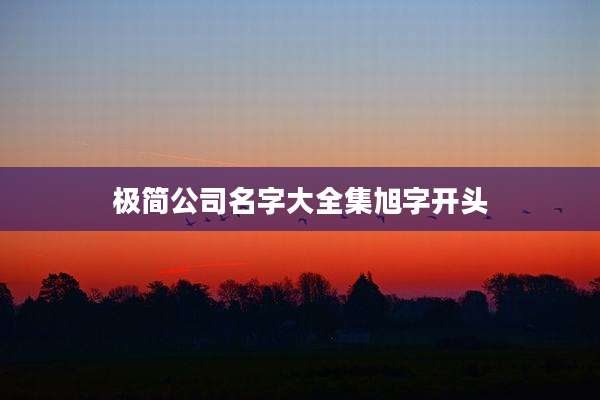 极简公司名字大全集旭字开头