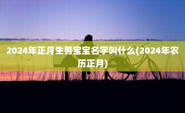 2024年正月生男宝宝名字叫什么(2024年农历正月)