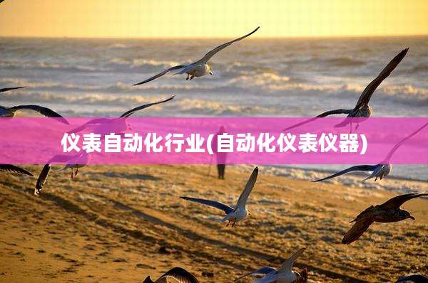 仪表自动化行业(自动化仪表仪器)