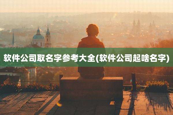 软件公司取名字参考大全(软件公司起啥名字)
