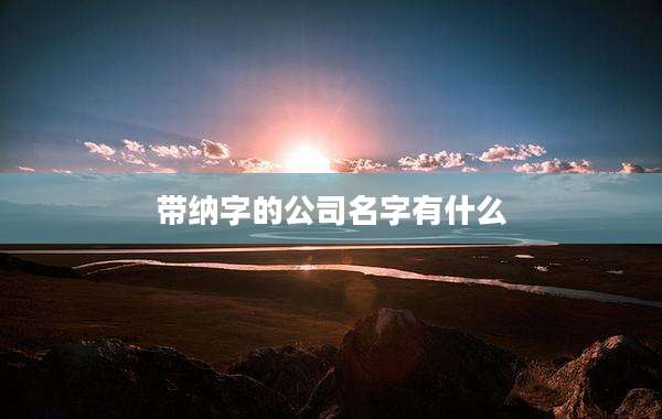 带纳字的公司名字有什么