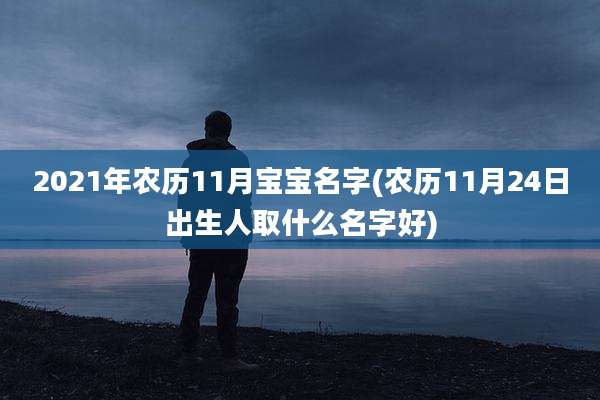 2021年农历11月宝宝名字(农历11月24日出生人取什么名字好)