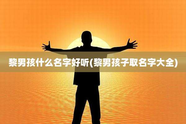 黎男孩什么名字好听(黎男孩子取名字大全)