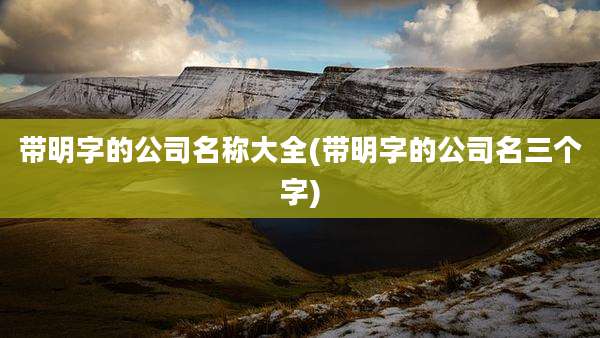 带明字的公司名称大全(带明字的公司名三个字)