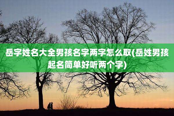 岳字姓名大全男孩名字两字怎么取(岳姓男孩起名简单好听两个字)