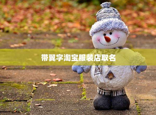 带翼字淘宝服装店取名