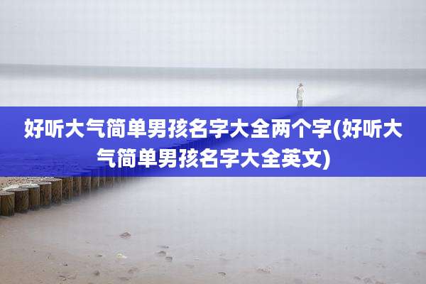 好听大气简单男孩名字大全两个字(好听大气简单男孩名字大全英文)