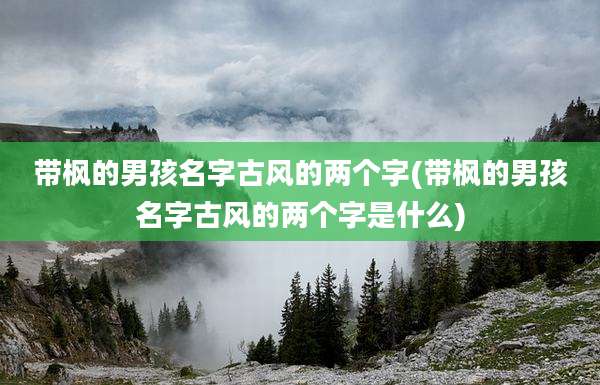 带枫的男孩名字古风的两个字(带枫的男孩名字古风的两个字是什么)