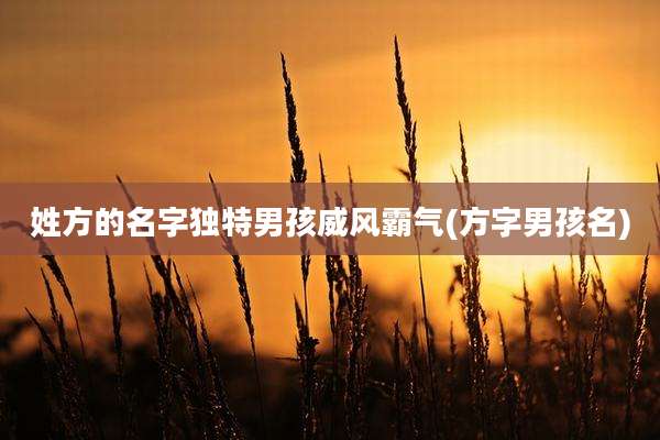 姓方的名字独特男孩威风霸气(方字男孩名)