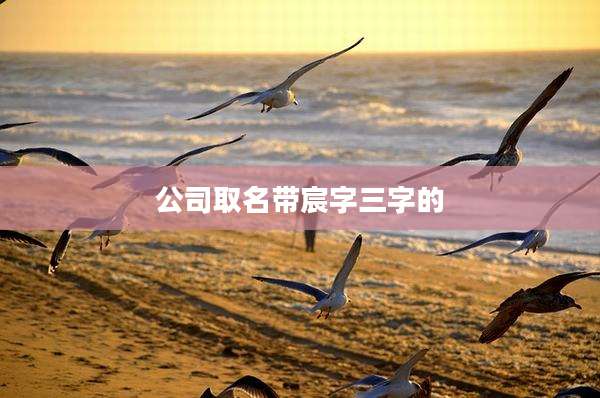 公司取名带宸字三字的