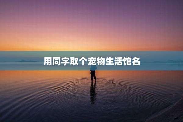 用同字取个宠物生活馆名