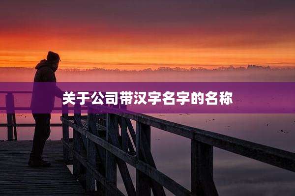 关于公司带汉字名字的名称