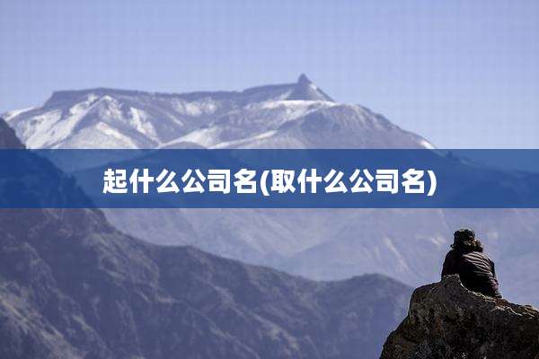 起什么公司名(取什么公司名)