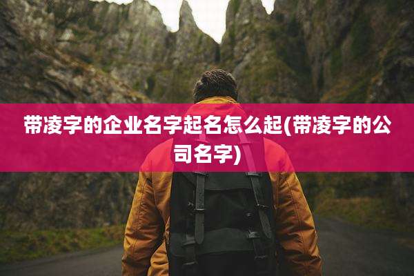 带凌字的企业名字起名怎么起(带凌字的公司名字)