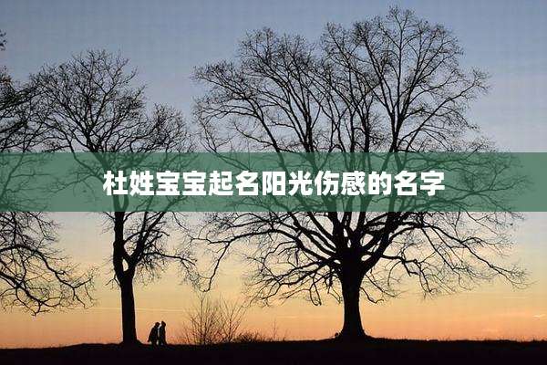 杜姓宝宝起名阳光伤感的名字